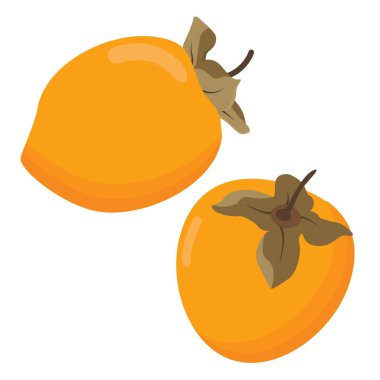 juicy, ripe persimmon fruit. Fruit isolated on a white background. Vector image clipart