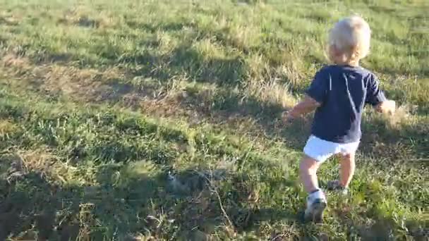 小さな子供は、晴れた日にフィールドで緑の草に行きます。屋外の芝生で歩く赤ちゃん。幼児の学習の自然の中を歩きます。夏の草原に幸せな少年。背面バック。クローズ アップ. — ストック動画