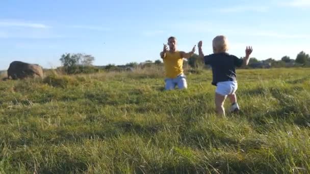 Lilla barnet går på grönt gräs på fältet till sin far på solig dag. Lycklig familj på en sommaräng. Lycklig pojke till hans pappa som är utomhus. Barn lära sig gå. Närbild. — Stockvideo