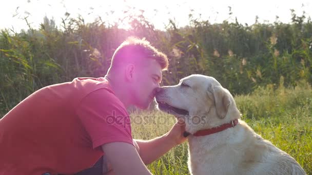 Junger Mann streichelt, umarmt und küsst seinen Labrador in der Natur. Spiel mit dem Golden Retriever. Hund leckt männliches Gesicht. Liebe und Freundschaft mit Haustieren. Landschaft im Hintergrund. Zeitlupe — Stockvideo