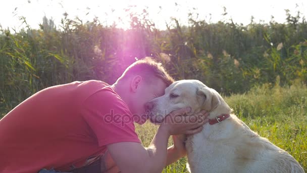 年轻男子爱抚，拥抱和亲吻他的拉布拉多户外大自然。玩金 retriver。狗舔男的脸。爱情和友情与家畜。在背景景观。慢动作 — 图库视频影像