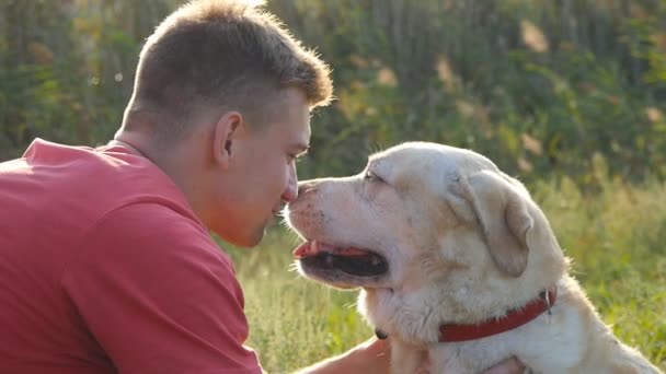 Genç adam okşa, sarılma ve onun labrador açık doğa öpüşme. Golden retriver ile oynamak. Köpek yalama erkek yüz. Sevgi ve dostluk ile evcil hayvan. Arka plan manzara. Slowmotion — Stok video