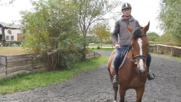 若い男、屋外の乗馬です。暗い曇りの日にファームで馬術学校に歩いて馬男性騎手。背景の美しい自然。種牡馬をクローズ アップ。動物のための愛 — ストック動画