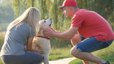 Genç çift açık havada onların evde beslenen hayvan köpek ile vakit geçirmek. Erkek ve kadın sevgiyle doğaya labrador veya altın geri almak okşayarak. Adam ve onların evcil hayvan sevişme kız. Birlikte yaz sakin ol