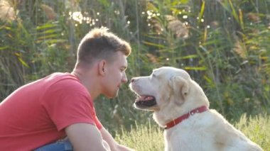 Genç adam okşa, sarılma ve onun labrador açık doğa öpüşme. Altın geri almak ile oynamak. Köpek yalama erkek yüz. Sevgi ve dostluk ile evcil hayvan. Arka plan manzara. Yakın çekim