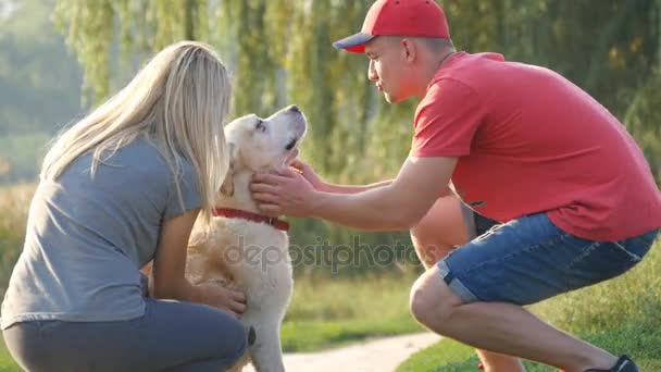 若いカップルは、ペットの犬の屋外での時間を過ごします。男と女の愛情を込めて自然にラブラドールやゴールデン ・ リトリーバーをなでます。男と女の家畜をかわいがること。夏で一緒にリラックスします。 — ストック動画