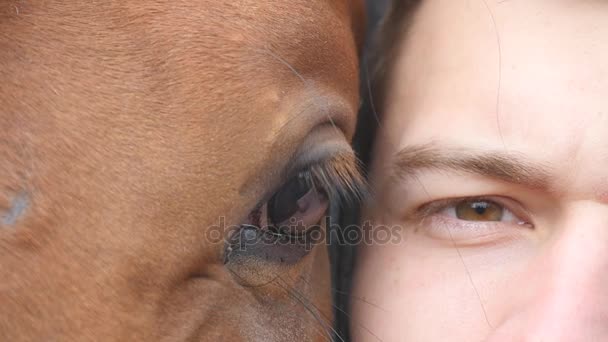 Zvířecí a lidské oko - kůň a člověk dohromady při pohledu na fotoaparát. Zblízka pohled oku Krásný hnědý hřebec a mladý pohledný kluk. Detail pohledu a blikající chlapce a mare. Zpomalený pohyb — Stock video