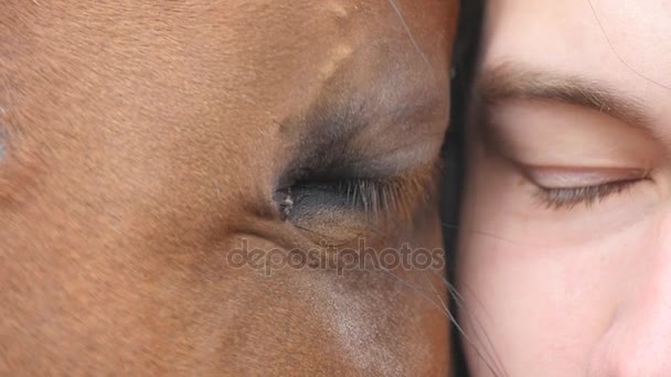 Dierlijke en menselijke oog - paard en mens samen kijken naar camera. Close-up van het oog van een mooie bruine hengst en jonge knappe kerel. Detail gezicht en knipperen van de jongen en mare. Slow motion — Stockvideo