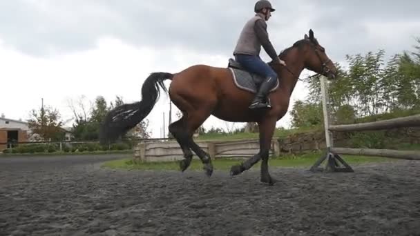 Following to horse is galloping and jumping through a barrier. Professional male jockey rides on horseback. Stallion runs on the sand at manege. Side view Slow motion — Stock Video