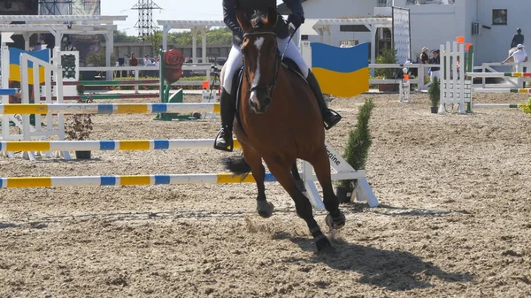 Nicht wiederzuerkennende professionelle männliche Jockey reitet auf dem Pferderücken. Pferd galoppiert und springt im Wettkampf durch Barriere. — Stockfoto