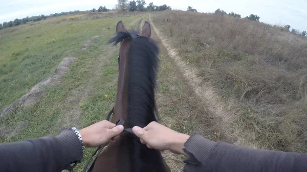 Widok pierwszoosobowy z jazda na koniu. Punktu widzenia Rider chodzenia o ogiera w nature. POV ruchu. Z bliska — Zdjęcie stockowe