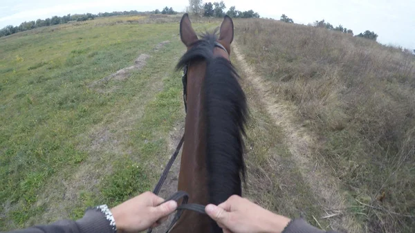 Ego-Ansicht des Reitens auf einem Pferd. Sicht des Reiters beim Wandern am Hengst in der Natur. Das ist nicht der Fall. Nahaufnahme — Stockfoto