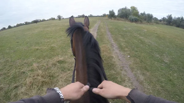 Widok pierwszoosobowy z jazda na koniu. Punktu widzenia Rider chodzenia o ogiera w nature. POV ruchu. Z bliska — Zdjęcie stockowe