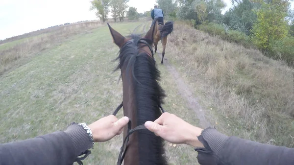 První osoba pohled na jízdu na koni. Hlediska Rider na hřebce v přírodě. POV pohyb. Detailní záběr — Stock fotografie