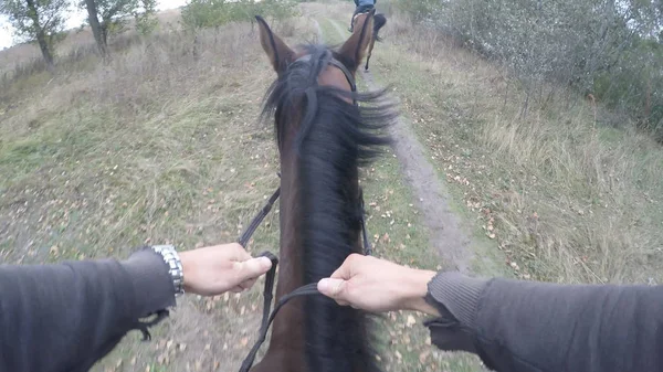 Ego-Ansicht des Reitens auf einem Pferd. Sicht des Reiters beim Wandern am Hengst in der Natur. Das ist nicht der Fall. Nahaufnahme — Stockfoto