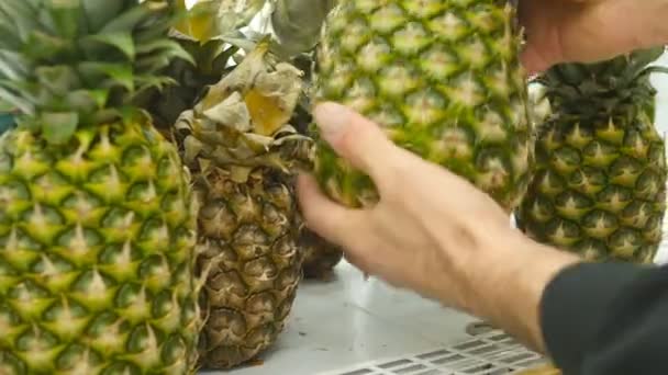 Mano masculina seleccionando piña en el supermercado. Hombre tomando piña del mostrador en una tienda de comestibles. Tipo seleccionando fruta fresca en el departamento de productos de la tienda. El comprador elige la comida. De cerca. — Vídeo de stock