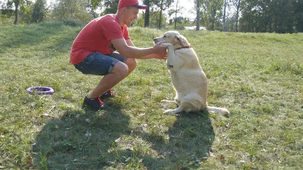 Jovem e cão brincando ao ar livre na natureza. Labrador ou golden retriever e seu dono masculino passam o tempo juntos no prado verde. Um tipo a acariciar animais domésticos. Fechar — Fotografia de Stock