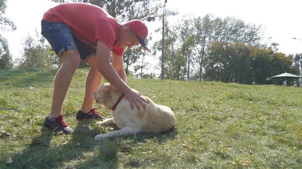 Jeune homme et chien jouant en plein air à la nature. Labrador ou golden retriever et son propriétaire masculin passent du temps ensemble dans la prairie verte. Un type caressant un animal domestique. Gros plan — Photo