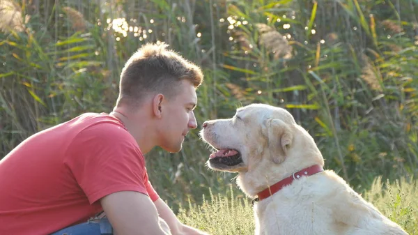 Genç adam okşa, sarılma ve onun labrador açık doğa öpüşme. Altın geri almak ile oynamak. Köpek yalama erkek yüz. Sevgi ve dostluk ile evcil hayvan. Arka plan manzara. Yakın çekim — Stok fotoğraf