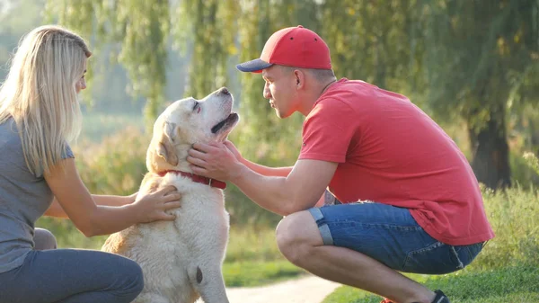 Les jeunes couples passent du temps dehors avec leur chien de compagnie. Homme et femme caressant affectueusement labrador ou golden retriever à la nature. Homme et fille caressant leur animal domestique. Détendez-vous ensemble en été — Photo