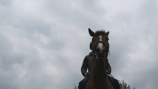 Giovanotto a cavallo all'aperto. Un fantino maschio che cavalca un cavallo in una giornata buia e nuvolosa. Bellissimo cielo piovoso sullo sfondo. Muso di stallone da vicino . — Foto Stock