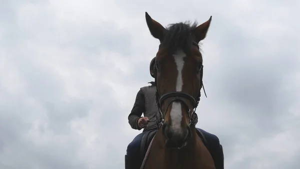 Junger Mann reitet im Freien. Jockey auf einem Pferd an einem dunklen, bewölkten Tag. schöner regnerischer Himmel im Hintergrund. Schnauze des Hengstes aus nächster Nähe. — Stockfoto
