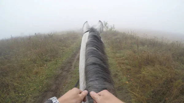 Widok pierwszoosobowy z jazda na koniu. Punktu widzenia Rider chodzenia o ogiera w nature. POV ruchu. Z bliska — Zdjęcie stockowe