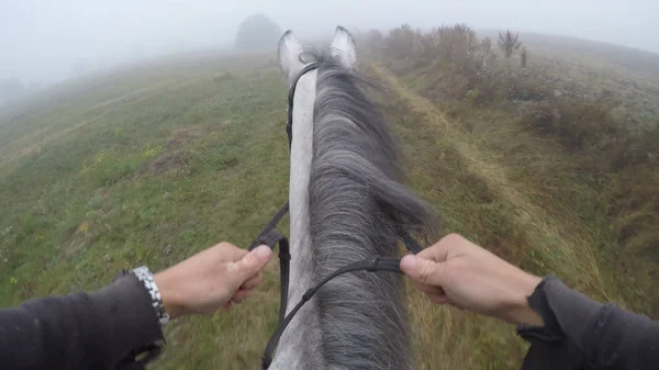 First person view of riding a horse. Point of view of rider walking at stallion at nature. Pov motion. Close up — Stock Photo, Image