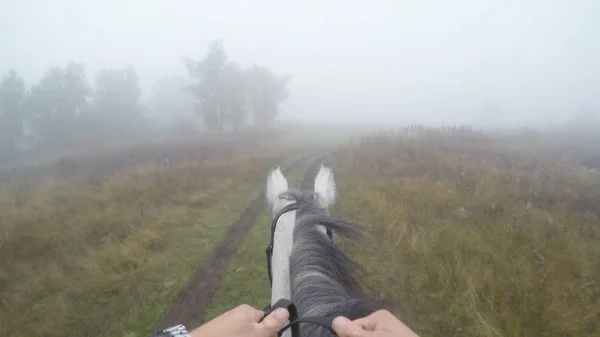 Widok pierwszoosobowy z jazda na koniu. Punktu widzenia Rider chodzenia o ogiera w nature. POV ruchu. Z bliska — Zdjęcie stockowe