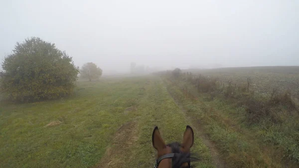 Vista in prima persona di andare a cavallo. Punto di vista di cavaliere che cammina a stallone a natura. Mozione di voto. Da vicino. — Foto Stock