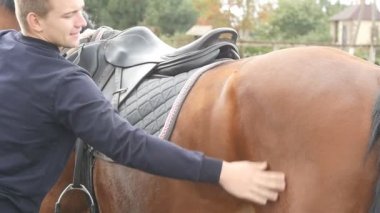 Genç kahverengi at açık havada okşayarak vücut adam. Kol erkek jokey okşamalarla ve doğa, sevişme kestane aygır. Bakım ve hayvanlar için seviyorum. Yavaş hareket kapatmak