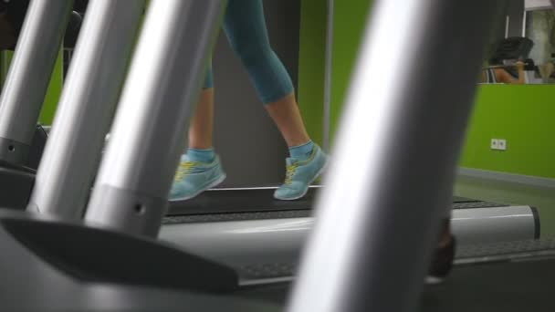 Женские ноги ходят и бегают по беговой дорожке в спортзале. Молодая женщина упражняется во время кардио тренировки. Ноги девушек в спортивной обуви тренируются в помещении спортклуба. Медленное движение — стоковое видео