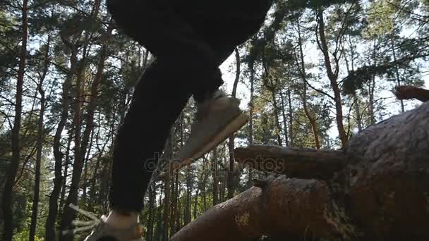 Grupa mężczyzn sportsmans są bieganie i skakanie na dziennika na drogę. Trening na świeżym powietrzu. Damskie bieganie biegowe w las lato. Trening w piękny krajobraz w przyrodzie o zachodzie słońca. Zwolnionym tempie — Wideo stockowe