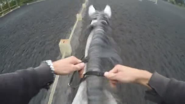 Första person vy av Rider en häst. Synpunkt av rider promenader på hingsten på naturen. POV rörelse. Närbild — Stockvideo