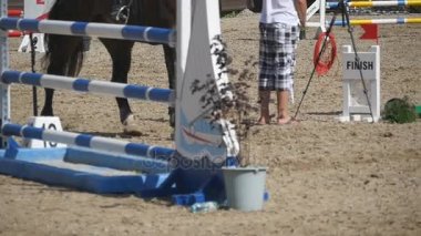 Ayak kum üzerinde çalışan at. Islak çamurlu zeminde dörtnala aygır bacak kapatın. Ağır çekim