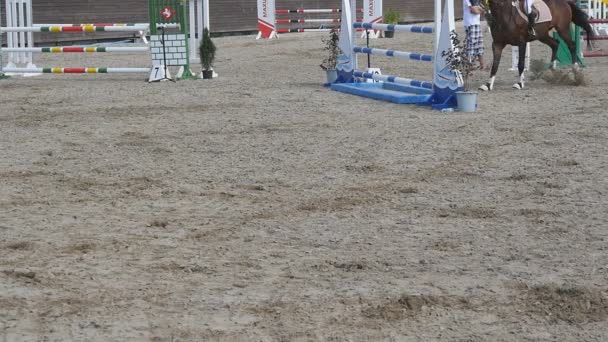 Лошадь бежит и прыгает через барьер на спортивных соревнованиях. Крупным планом скачут лошадиные ноги. Профессиональный жокей катается на лошадях. Медленное движение — стоковое видео
