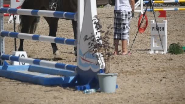 Voet van paard uitgevoerd op het zand. Close up van de benen van hengst galopperen op de natte modderige grond. Slow motion — Stockvideo