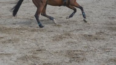At çalışır ve spor Yarışması'nda bir engel atlar. Dörtnala at metrelik kapatın. Profesyonel jokey at sırtında sürmek. Ağır çekim