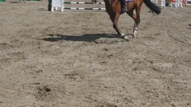 Ayak kum üzerinde çalışan at. Islak çamurlu zeminde dörtnala aygır bacak kapatın. Ağır çekim
