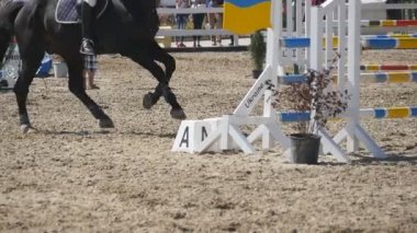 At çalışır ve spor Yarışması'nda bir engel atlar. Dörtnala at metrelik kapatın. Profesyonel jokey at sırtında sürmek. Ağır çekim