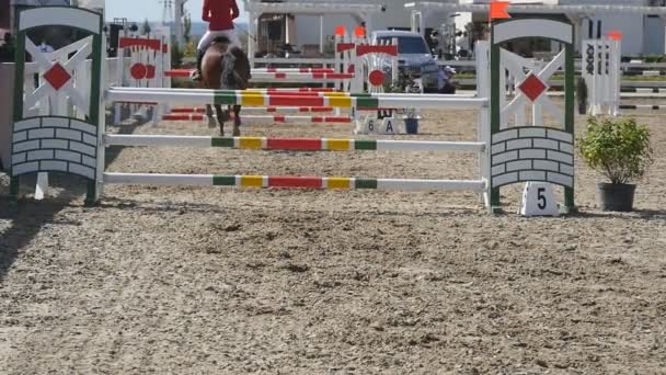 Oigenkännlig professionella kvinnliga jockey rider på hästryggen. Hästen galoppera och hoppa genom en barriär i konkurrens. Slow motion bakre tillbaka Visa nära upp — Stockvideo