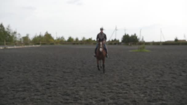 Junger Mann reitet im Freien. Jockey beim Pferderennen in der Manege auf dem Bauernhof an einem Sommertag. schöne Natur im Hintergrund. Hengst aus nächster Nähe. Liebe zu Tieren. Zeitlupe — Stockvideo