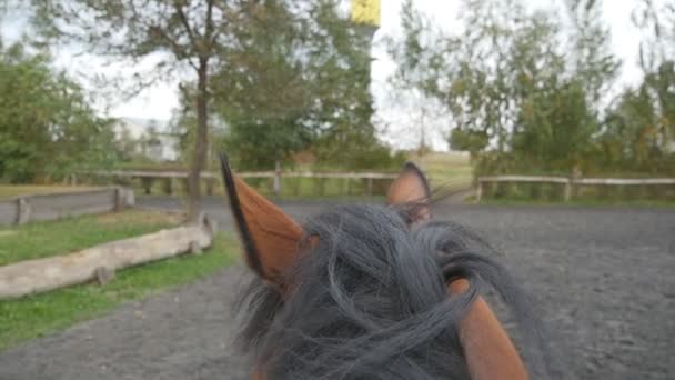 Vista em primeira pessoa de montar um cavalo. Ponto de vista do cavaleiro andando no garanhão. Pov close up câmera lenta — Vídeo de Stock