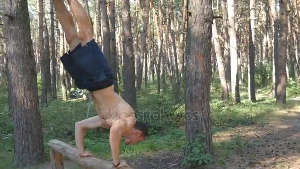 Ισχυρή μυώδης άνδρας κάνει ένα handstand στο δάσος. Μυϊκής εκγύμνασης αρσενικό τύπος κάνει ακροβατικά για αρχείο καταγραφής στο ξύλο. Αθλητής κατάρτισης εκτελεί ένα handstand στο μυ έξω. Προπόνηση αθλητισμού υγιεινού τρόπου ζωής — Αρχείο Βίντεο