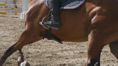 At çalışır ve spor Yarışması'nda bir engel atlar. Dörtnala at metrelik kapatın. Profesyonel jokey at sırtında sürmek. Ağır çekim