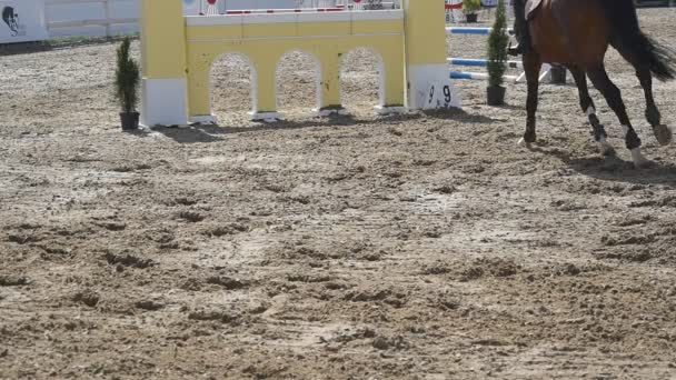 Caballo corre y salta a través de una barrera en la competición deportiva. Primer plano de pies de caballo galopando. Cabalgatas profesionales a caballo. Movimiento lento — Vídeos de Stock