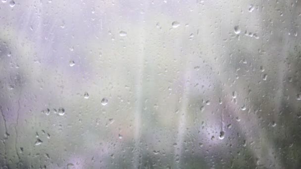 Primer plano de las gotas de agua en el vidrio. Gotas de lluvia sobre vidrio de ventana con fondo borroso. Árbol borroso y cielo. Días lluviosos, lluvia corriendo por la ventana, bokeh — Vídeos de Stock