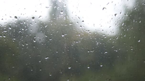 Primer plano de las gotas de agua en el vidrio. Gotas de lluvia sobre vidrio de ventana con fondo borroso. Árbol borroso y cielo. Días lluviosos, lluvia corriendo por la ventana, bokeh — Vídeos de Stock