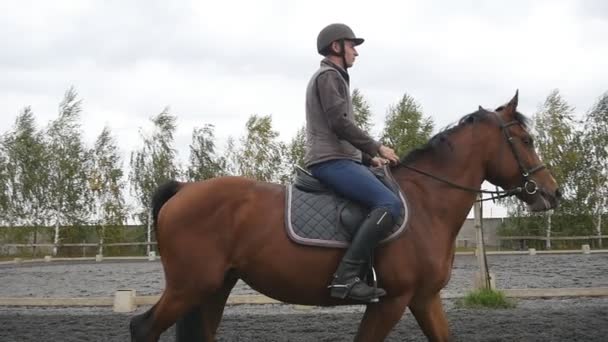 Young man horseback riding outdoor. Male jockey at horse walking at manege at farm on summer day. Beautiful nature at background. Stallion close up. Love for animals. Slow motion — Stock Video