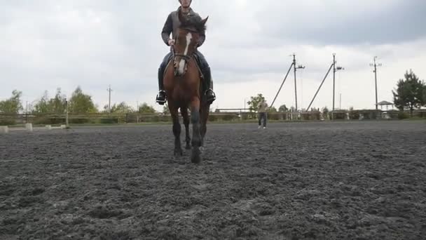 若い男、屋外の乗馬です。馬が牧場で馬術学校で夏の日のジョギングで男性騎手。背景の美しい自然。種牡馬をクローズ アップ。動物のための愛。スローモーション。フロント ビュー — ストック動画